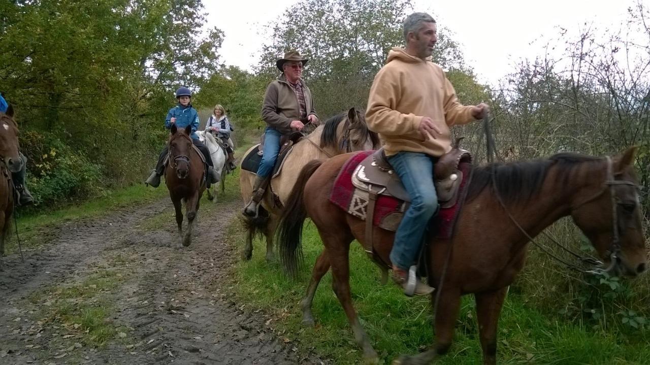 Petit Gite A La Ferme Des Buttons Rosnay  エクステリア 写真